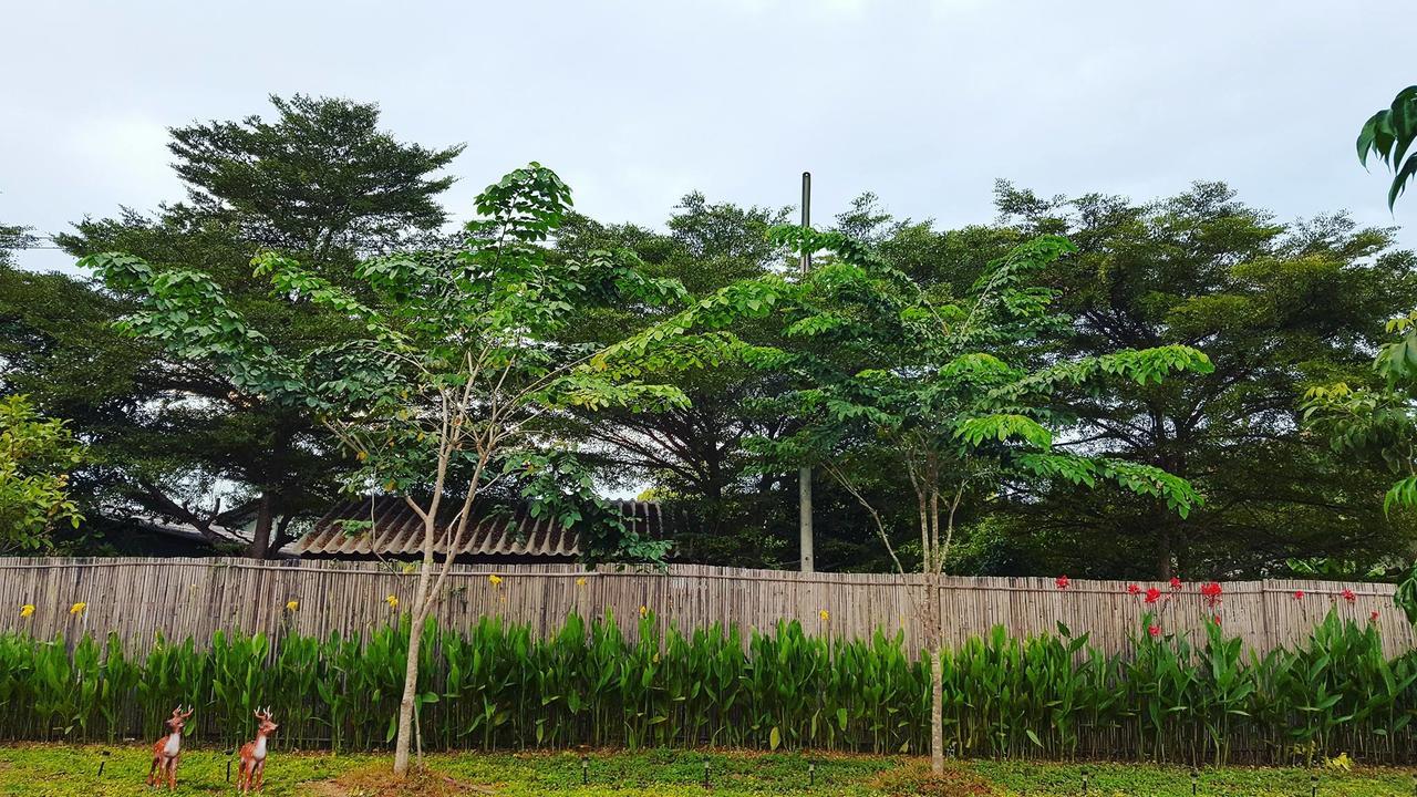 บ้านสวนมีดี ลำพูน Meedee Homestay Lamphun Ban Nong Pla Kho 외부 사진