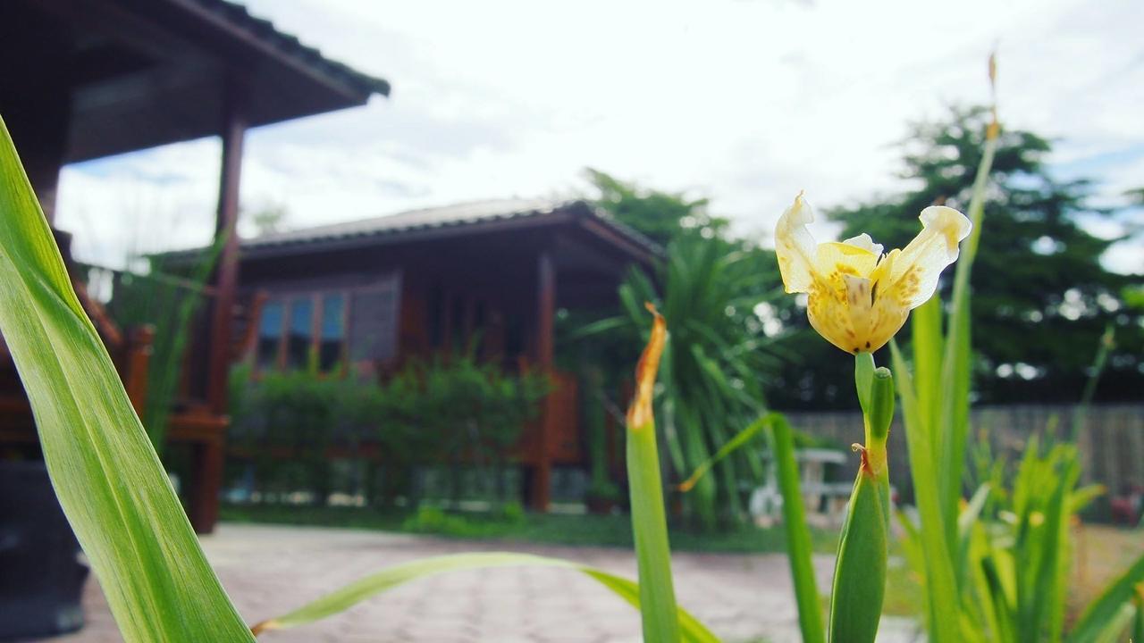 บ้านสวนมีดี ลำพูน Meedee Homestay Lamphun Ban Nong Pla Kho 외부 사진