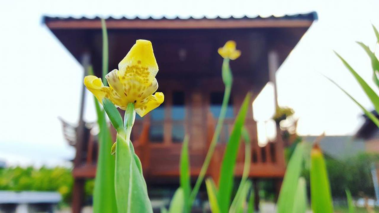 บ้านสวนมีดี ลำพูน Meedee Homestay Lamphun Ban Nong Pla Kho 외부 사진