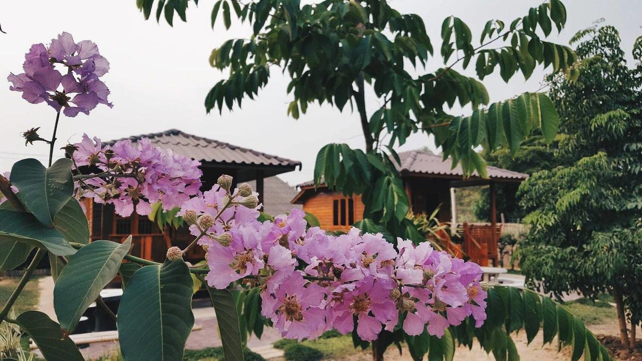 บ้านสวนมีดี ลำพูน Meedee Homestay Lamphun Ban Nong Pla Kho 외부 사진