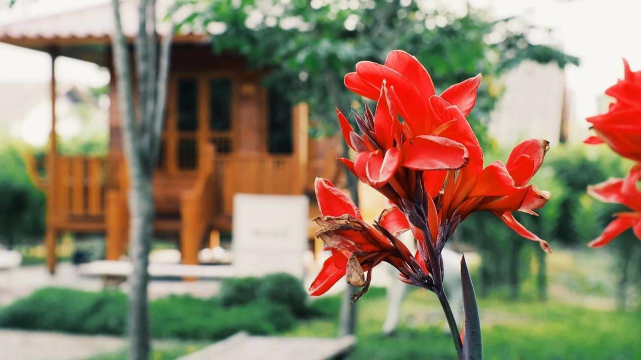 บ้านสวนมีดี ลำพูน Meedee Homestay Lamphun Ban Nong Pla Kho 외부 사진